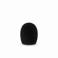 FWS-00001 5cm Mic Foam (19-22) Image 2.jpg