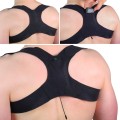3 BACKSTRAP-BL-montage2.jpg